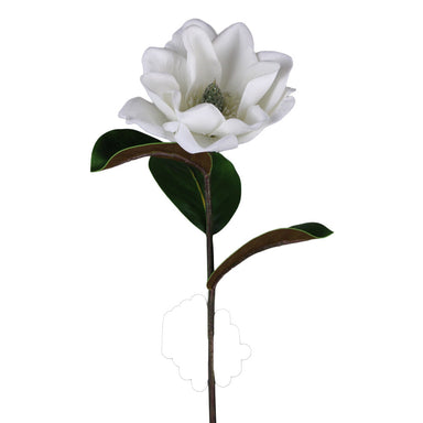 24 in Magnolia Stem - White