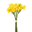 12" Daffodils Bundle - Yellow
