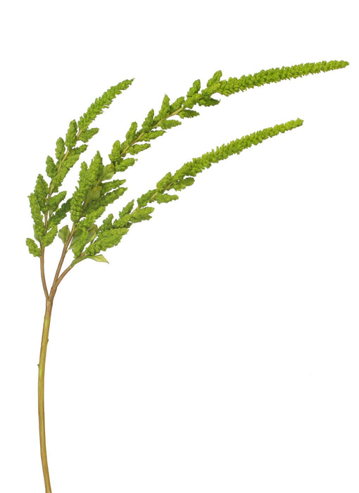 36.5 in Hanging Amaranthus - Green