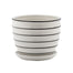 6.5" White Ribbed Pot w/Saucer