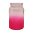 6.75 in Ombre Pink Leo Glass Vase