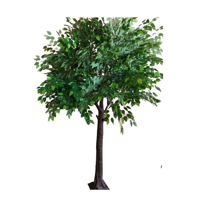9' Banyan Tree - Green
