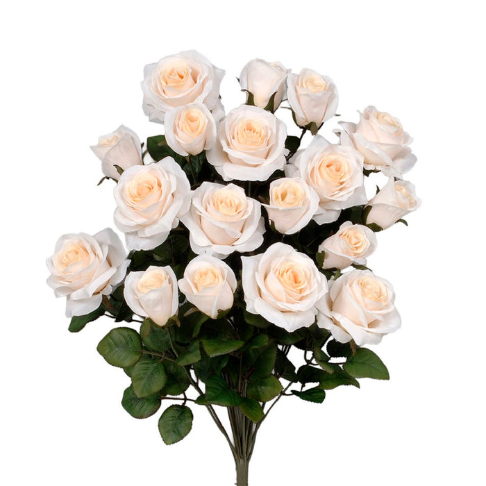 Grandiflora Rose Bush