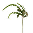 45 in Hanging Amaranthus