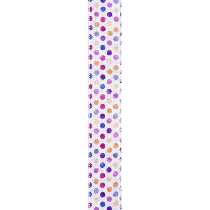 #9 Wired Pottle Ribbon - Purple/Multicolor