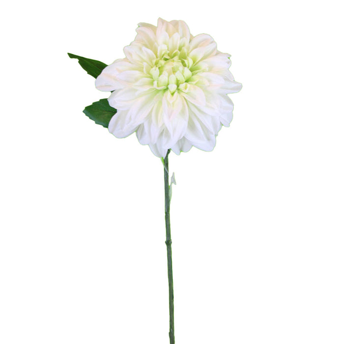 13 in Dahlia Short Stem - White
