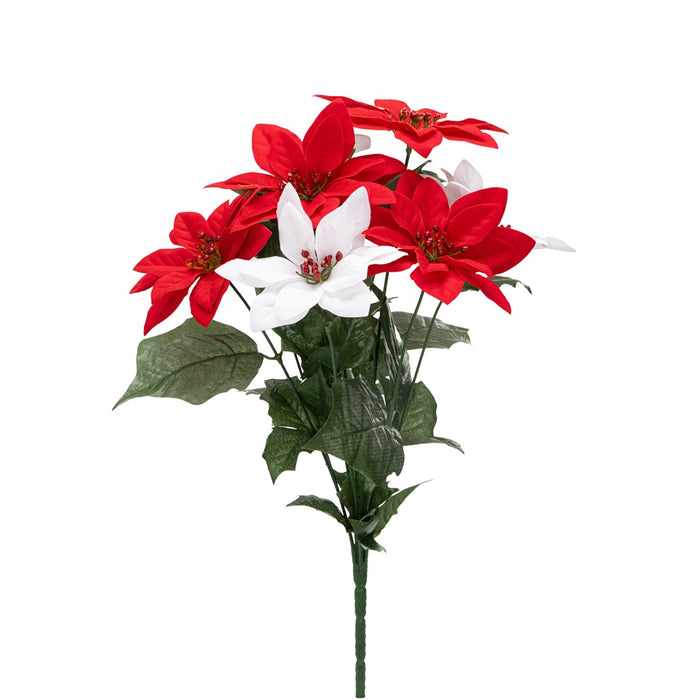18 in Velvet Mixed Color Poinsettia Bush - Red/White