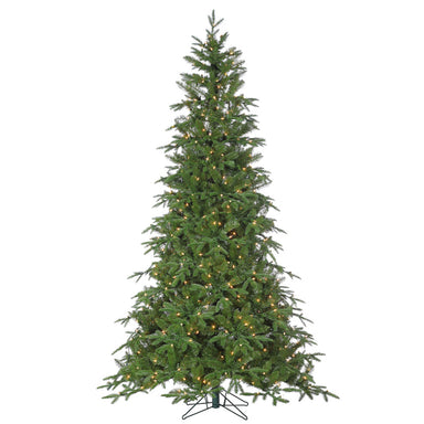 7.5' Nordmann Fir Tree - Green