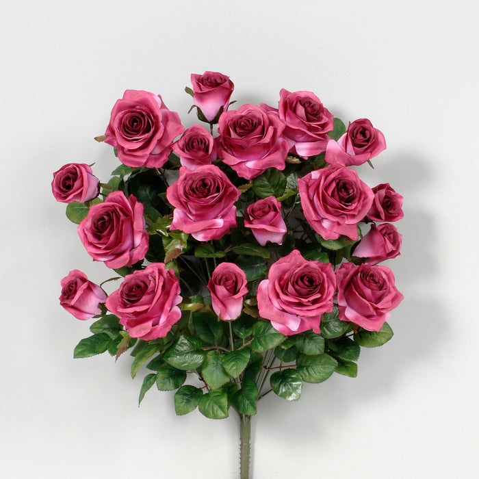 Grandiflora Rose Bush