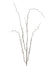 48 in Willow Twig Spray