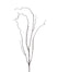 48 in Willow Twig Spray