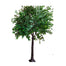 6.5' Banyan Tree - Green