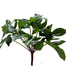 18 in Philodendron Bush - Green