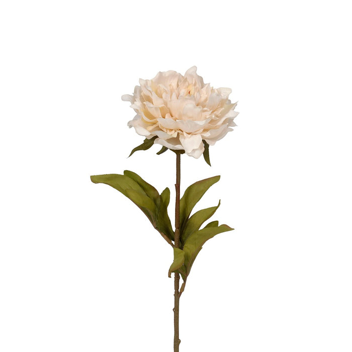 Ruffle Peony - Linen