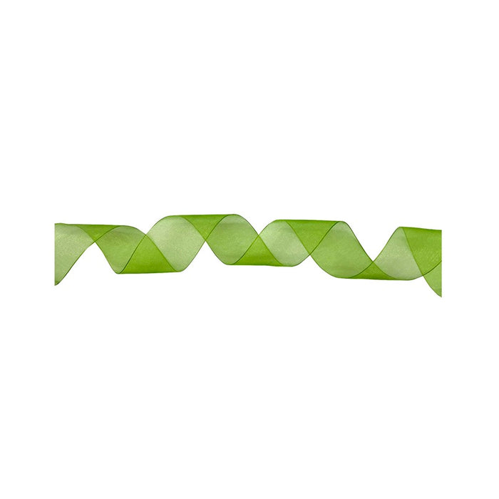 #3 Regal Chiffon Ribbon