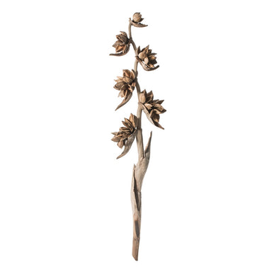 5-6' Natural Star Pod Stalk - 1/Pk