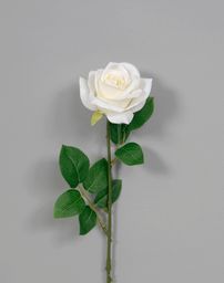 25"L Polyester Rose - White