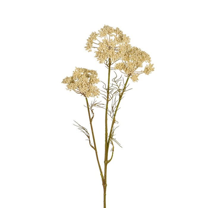 29 1/2 in Yarrow Spray - Cream