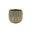 4.75" Striped Pot - White/Gold