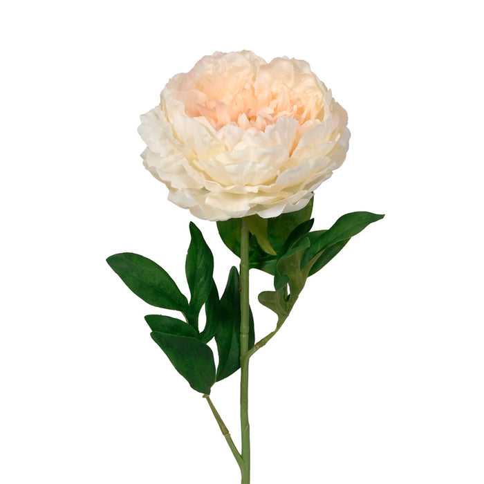 28" Polyester Large Cabbage Peony - Cream