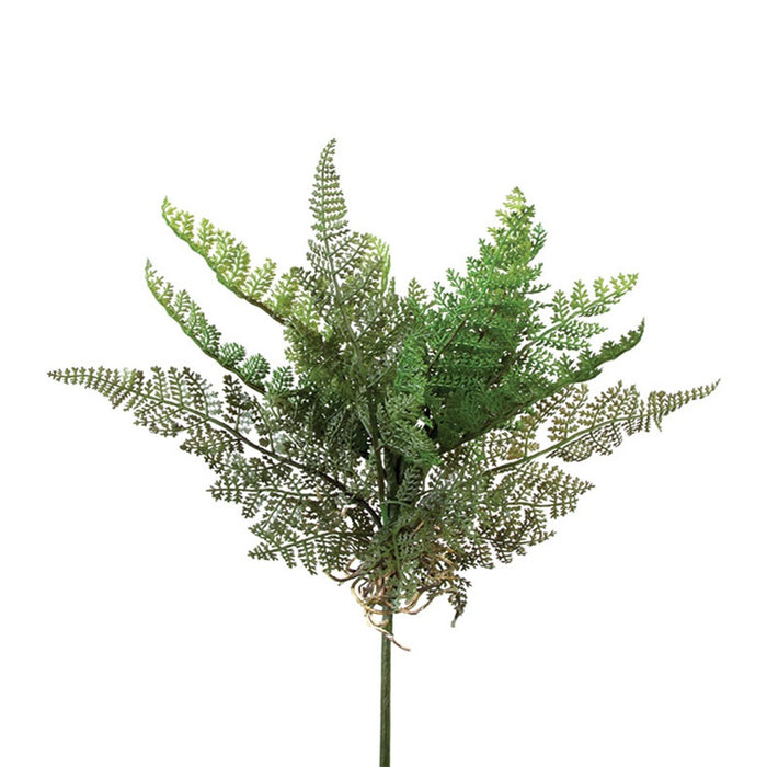 12 in Cedar Fern Plant - Green