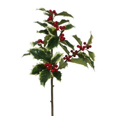 28.5 in Holly Spray - Variegated Red