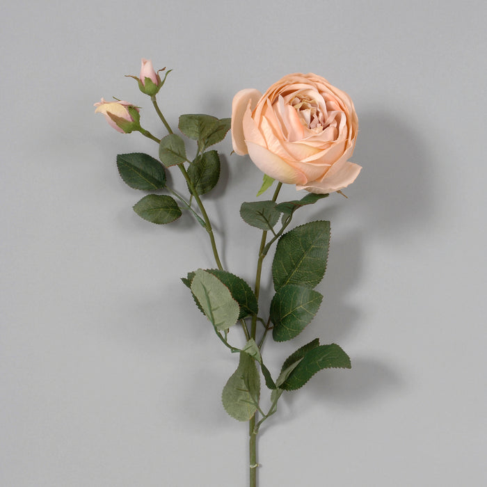 27" Polyester Cabbage Rose - Bisque
