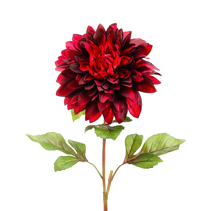 Red Dahlia - 24 Inch