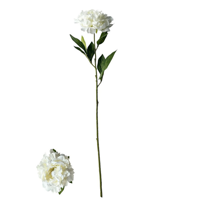30 in Peony Natural Stem - Cream
