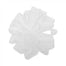 #9 DWI Sheers Ribbon