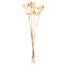 15-17 in Bleached Jacaranda Pod Bundle