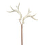 Antler Spray - White Wash