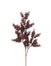 23 in Fall Ruscus Spray - Burgundy