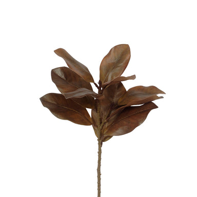 21 in Magnolia Leaves Spray - Moss