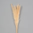 29" Dried Pampas Bunch - Cream