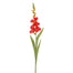 42.5" Gladiolus - Red