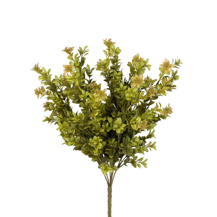 Boxwood Bush - Sage Green