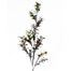Snowberry Spray