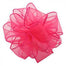#9 DWI Sheers Ribbon