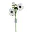22 in Anemone Spray
