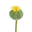 8 in Crown Cactus Flower - Yellow/Green