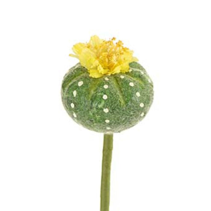 8 in Crown Cactus Flower - Yellow/Green