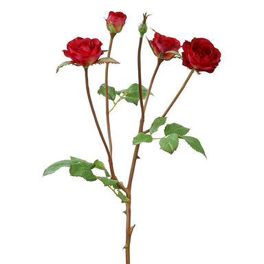 19" Rose Floribunda - Red