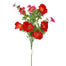 22 in Poppy Bush - Red