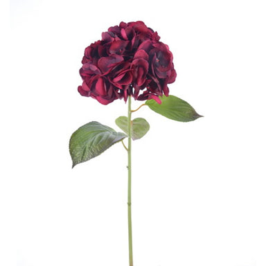 25 in Hydrangea - Burgundy