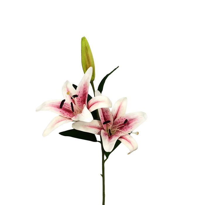 Stargazer Lily w/Bud - Pink