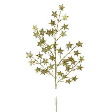 31 in Star Spray - Gold