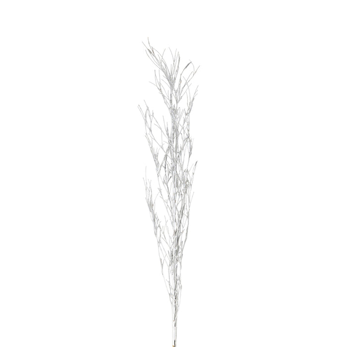 Bamboo Branch