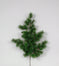 Hardneedle Woodland Spruce Branch