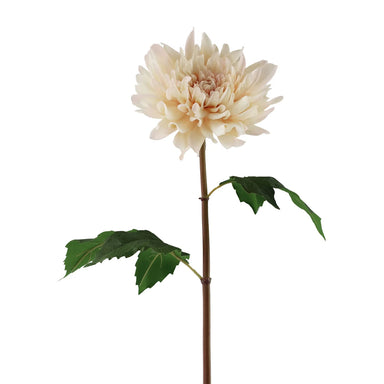 19.5" Dahlia Stem - Brush